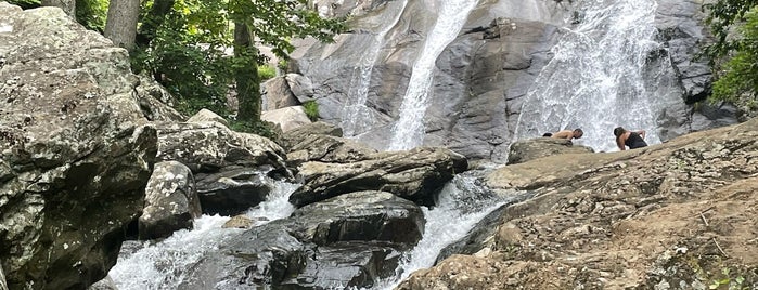 Whiteoak Canyon in Shenandoah National Park is one of Field trip parks.