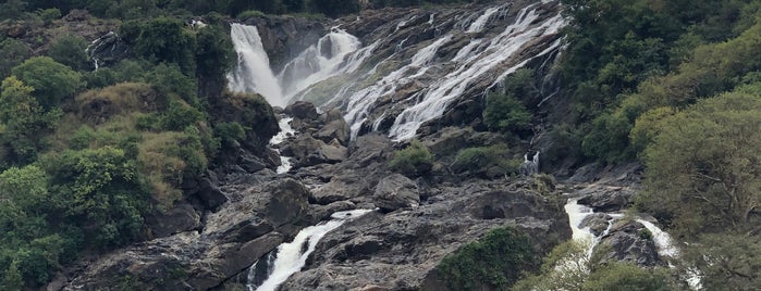 Bharachukki Falls is one of mysore.