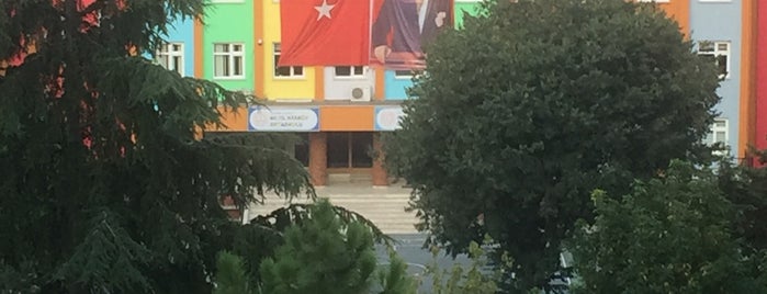 Ataköy 60.Yıl İlköğretim Okulu is one of gezi yerleri.