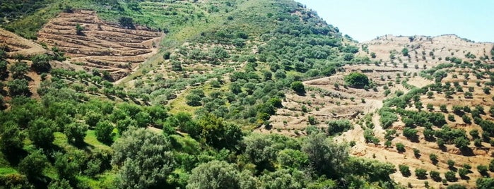 Polyrinia is one of Crete.