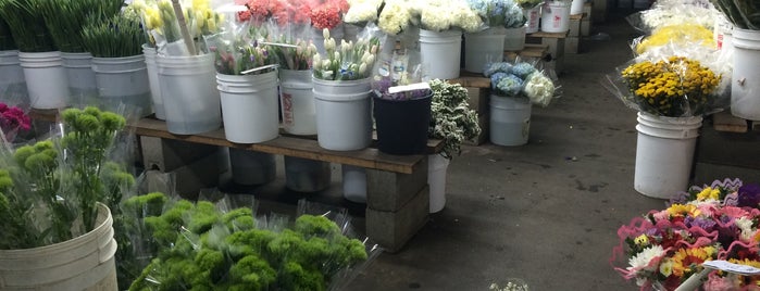 Wholesale Flowers is one of Check Out When Traveling.
