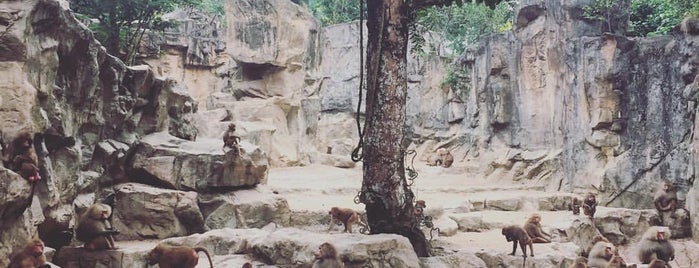 Singapore Zoo is one of Orte, die Alan gefallen.