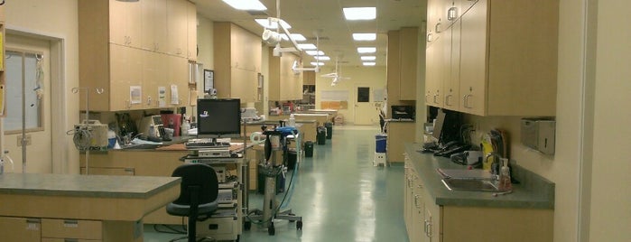 Advanced Veterinary Internal Medicine is one of Todd’s Liked Places.