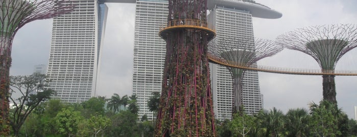 Gardens by the Bay is one of Singapura Trip.