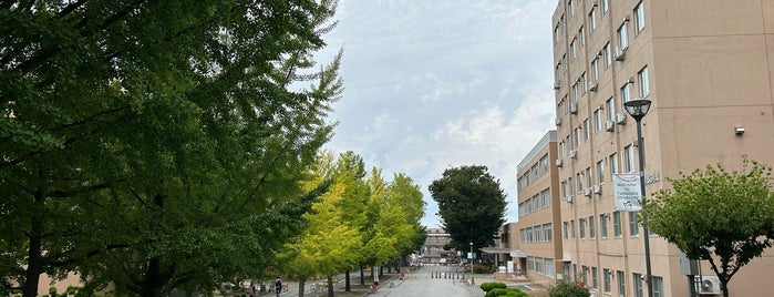 Yamagata University Kojirakawa Campus is one of 国立大学 (National university).