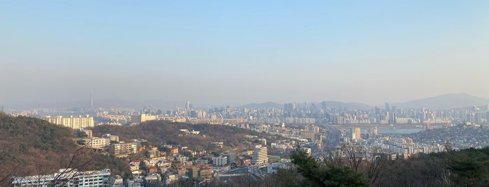 Mt.Namsan Photo Island is one of Tourists's Attraction.