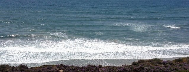 The 15 Best Places For Bonfires In San Diego