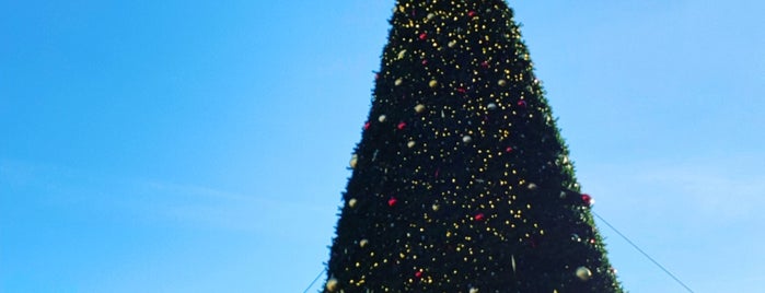 Union Square Christmas Tree is one of San Francisco.