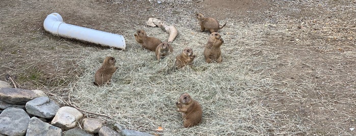 Memphis Zoo Once Upon A Farm is one of Locais curtidos por All About You Entertainment.