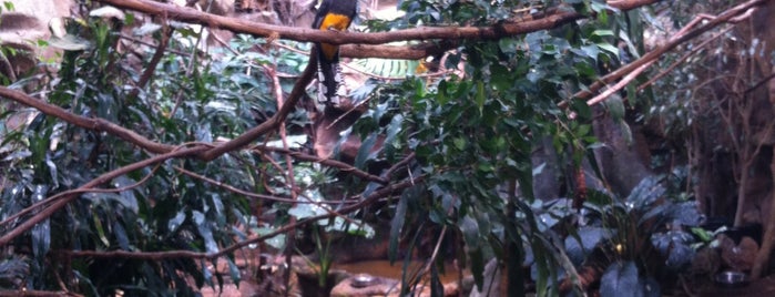 Memphis Zoo Tropical Bird House is one of Regulars.