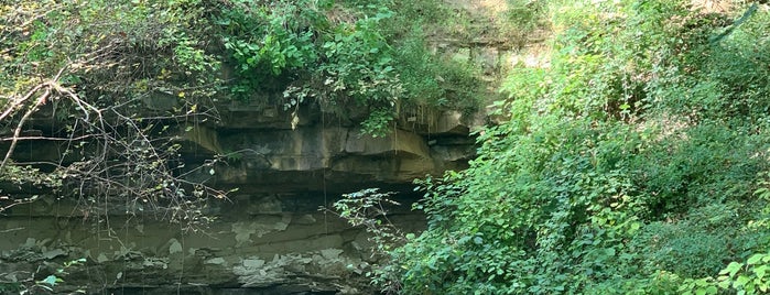 Saunders Springs Nature Preserve is one of Kentucky.
