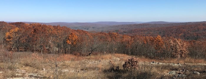 Taum Sauk Mountain State Park is one of Highest Elevation Points of Every State!.