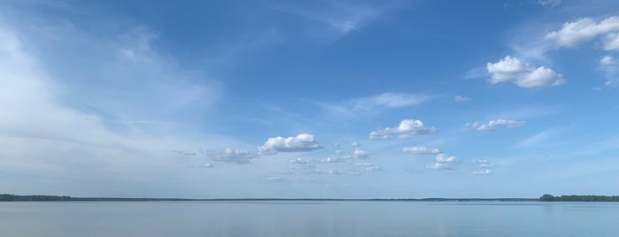 Atlanta State Park is one of Texas State Parks.