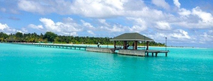 Holiday Island Resort is one of Malediven.