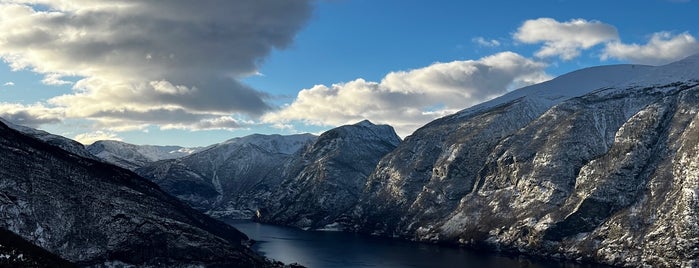 Aurlandfjorden is one of Norway.