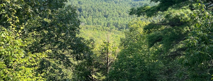 Tusten Mountain Trail is one of Around Narrowsburg.