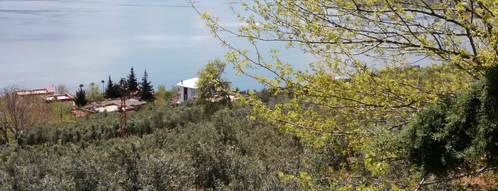 Tekişli is one of Tempat yang Disukai Dr.Gökhan.