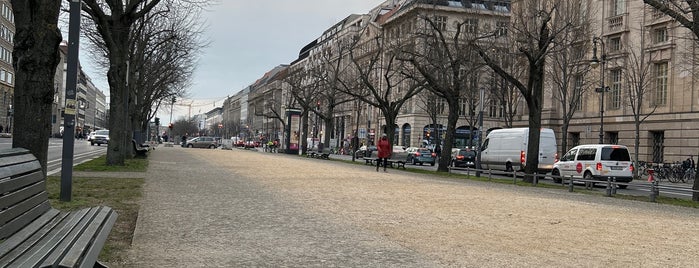 Unter den Linden is one of Tempat yang Disimpan Kseniya.