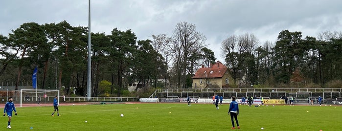 Ernst-Reuter-Sportfeld is one of The 15 Best Places for Stadium in Berlin.