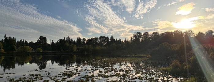 Larsen Lake Blueberry Farm is one of Explore Bellevue.