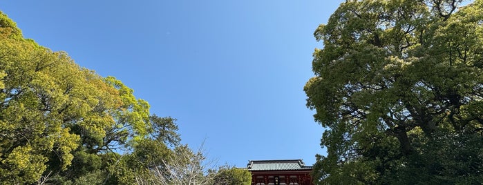 鶴岡八幡宮 大銀杏 is one of 関東.