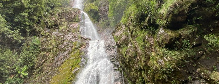 Montezuma Falls is one of Tasmania.