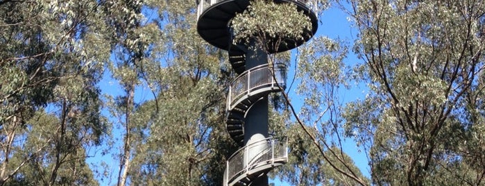 Otway Fly Treetop Walk is one of Visit Victoria.