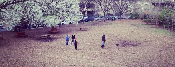Hillside Dog Park is one of How to Love Brooklyn in 16 Check-ins.