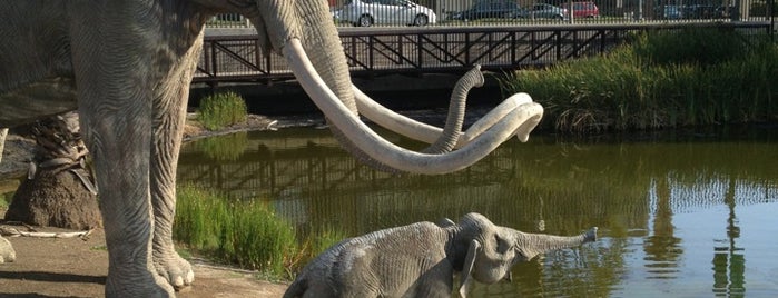 La Brea Tar Pits & Museum is one of Out of State Adventures.