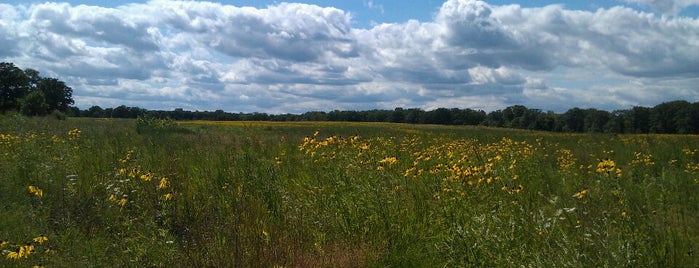 Fort Sheridan Forest Preserve is one of Hiking in Northeast Illinois.