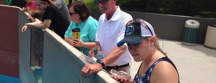 Seafire Grille is one of SeaWorld San Antonio.