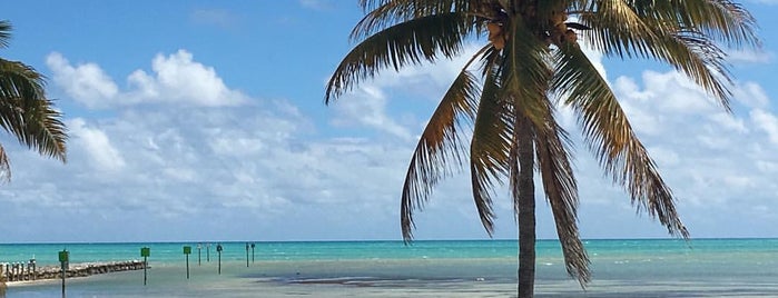 Safari Lounge is one of The Florida Keys.