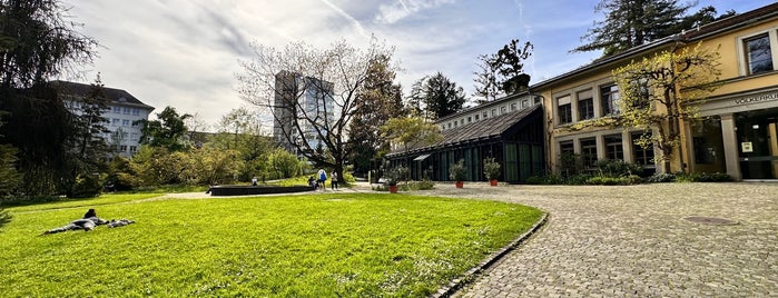 Alter Botanischer Garten is one of Zurich: business trip 2014-2015.