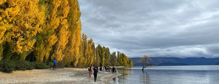 Lake Wanaka Centre is one of New Zealand.