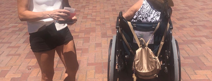 Stroller & Wheelchair Rental is one of Disneyland Services.