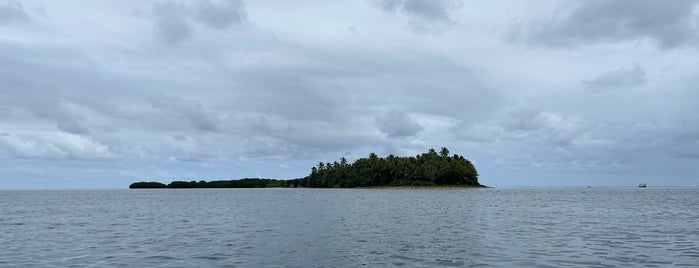 Robinson Crusoe Island is one of Fiji to-do.