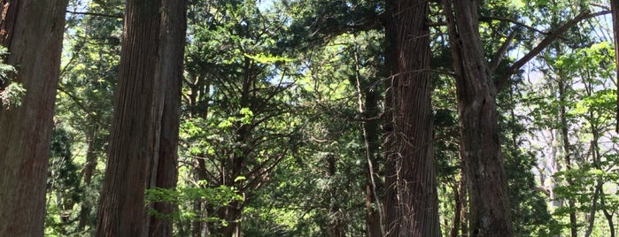 戸隠神社 奥社 is one of Orte, die flying gefallen.