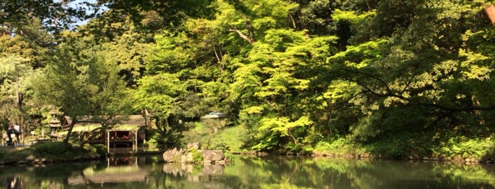 Kenrokuen Garden is one of Tempat yang Disukai flying.