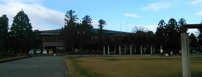 アリーナ 体育館 アリーナ 体育館