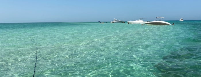 Jarada Island is one of สถานที่ที่ Abdulaziz ถูกใจ.