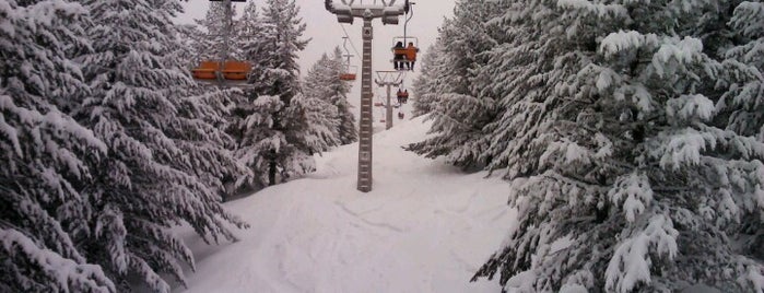 Ски-зона Добринище is one of goger 님이 좋아한 장소.