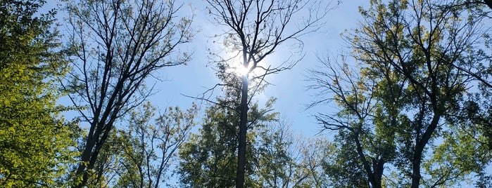 Lakeside Beach State Park is one of New York State Parks.