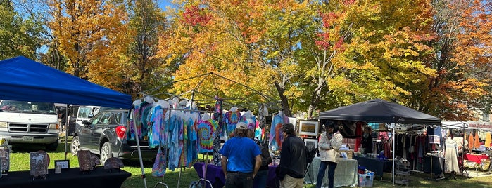 Mower's Flea Market is one of Catskills fall trip.