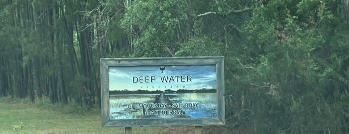 Deep Water Vineyard is one of Charleston.