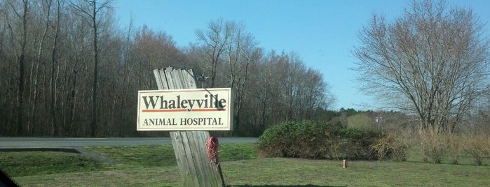 Whaleyville Animal Hospital is one of Jb's Favorite Beach Places.