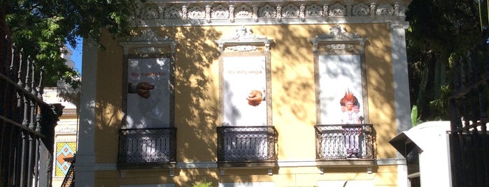 Museu do Índio is one of Cultura RJ.