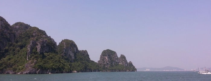 Tàu Thanh Niên - Hạ Long bay is one of Lugares favoritos de Stacy.