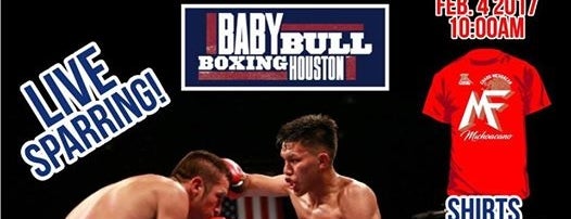 Baby Bull Boxing is one of Locais curtidos por David.
