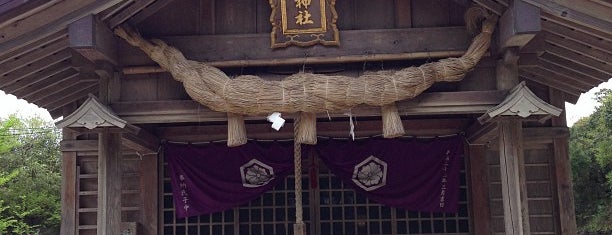 白兎神社 is one of 八百万の神々 / Gods live everywhere in Japan.