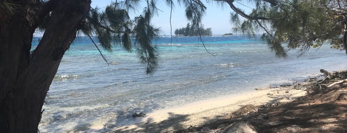 Utila Island is one of Carlosさんのお気に入りスポット.